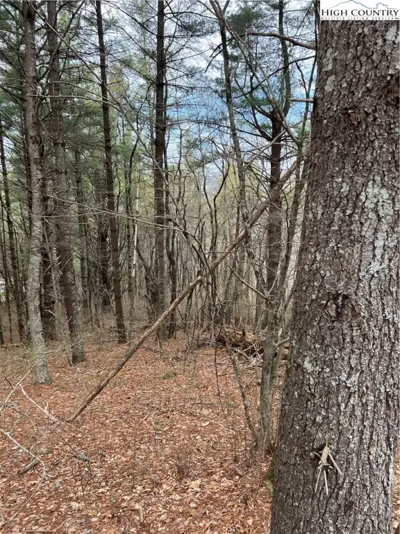 3 Speckled Drive, Laurel Springs, NC 28644 - Image #3