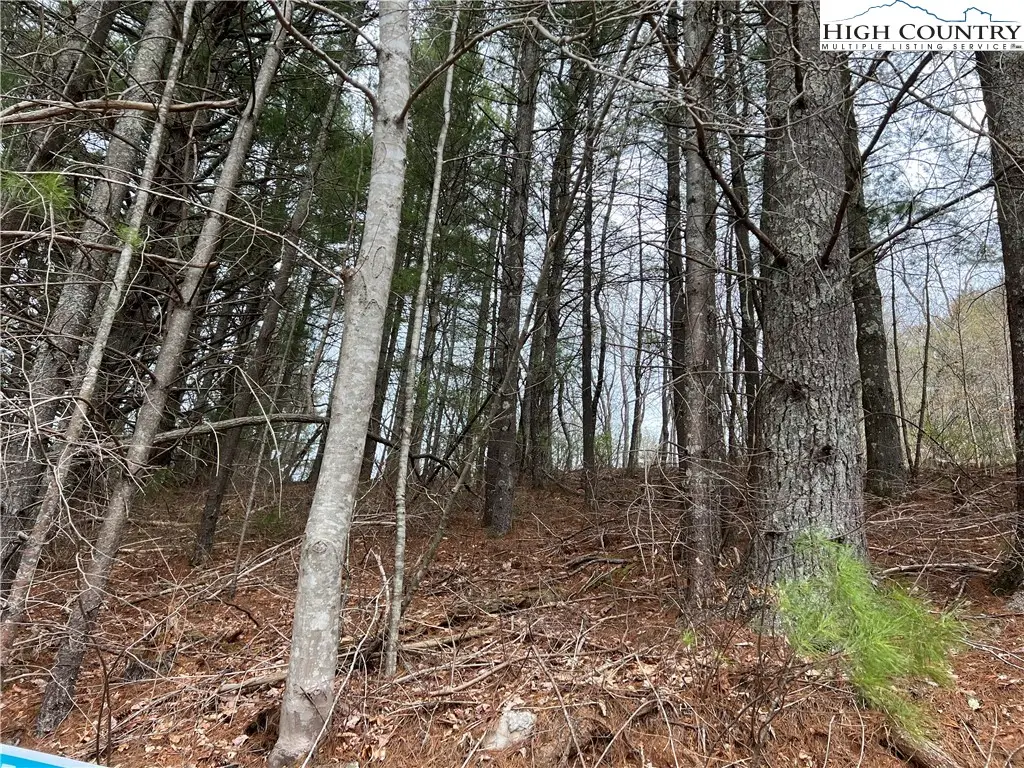 4 Speckled Drive, Laurel Springs, NC 28644 - Image #1