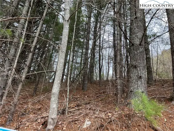 4 Speckled Drive, Laurel Springs, NC 28644