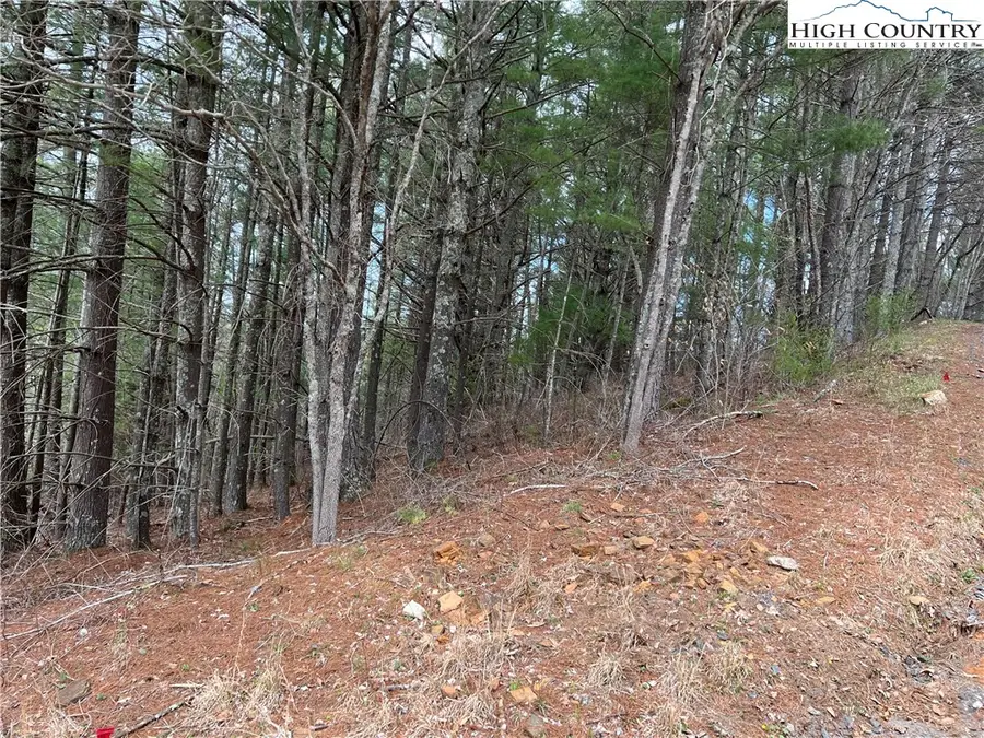 4 Speckled Drive, Laurel Springs, NC 28644 - Image #2