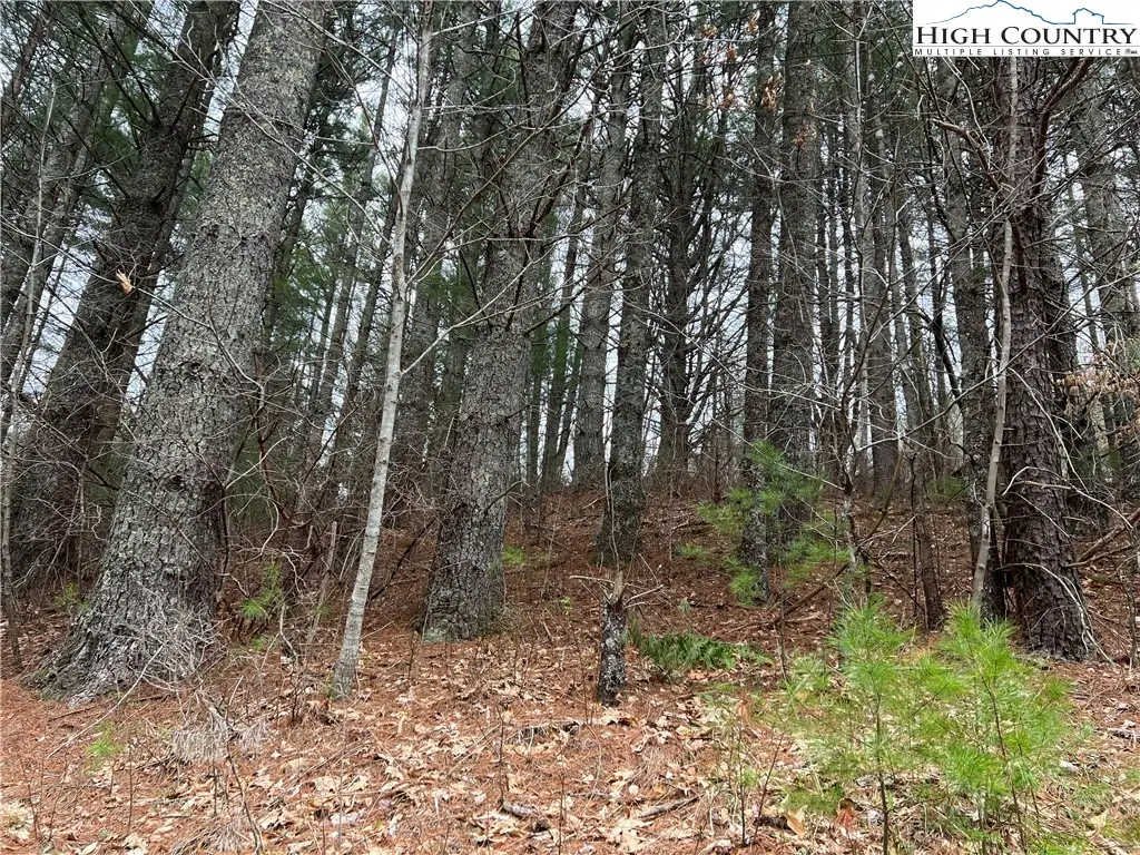 5 Speckled Drive, Laurel Springs, NC 28644 - Image #1