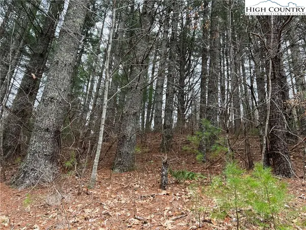 5 Speckled Drive, Laurel Springs, NC 28644