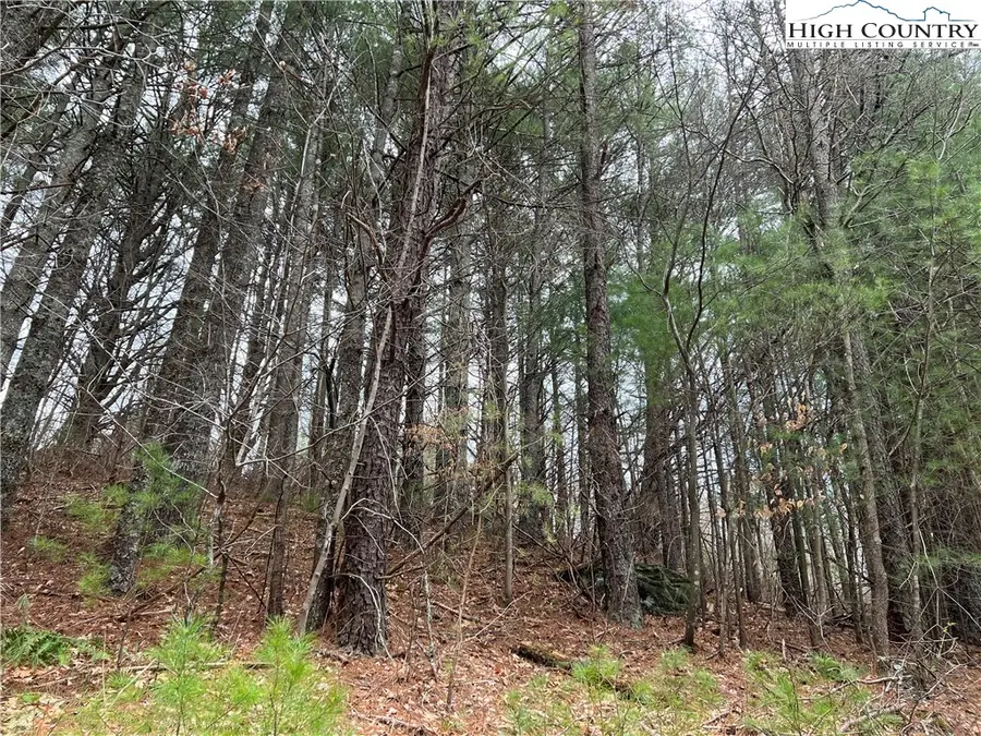 5 Speckled Drive, Laurel Springs, NC 28644 - Image #2