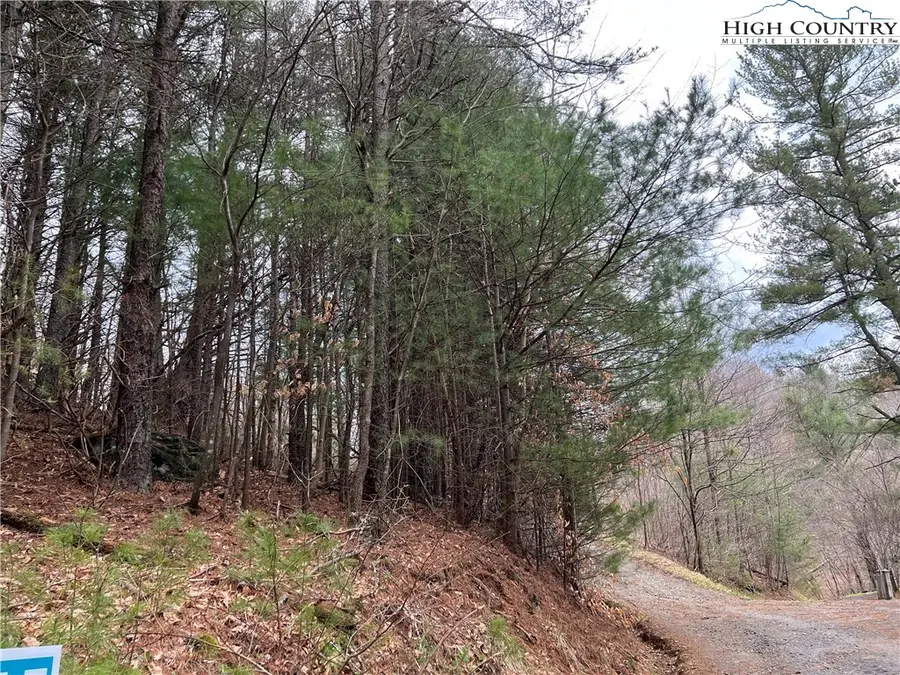 5 Speckled Drive, Laurel Springs, NC 28644 - Image #3