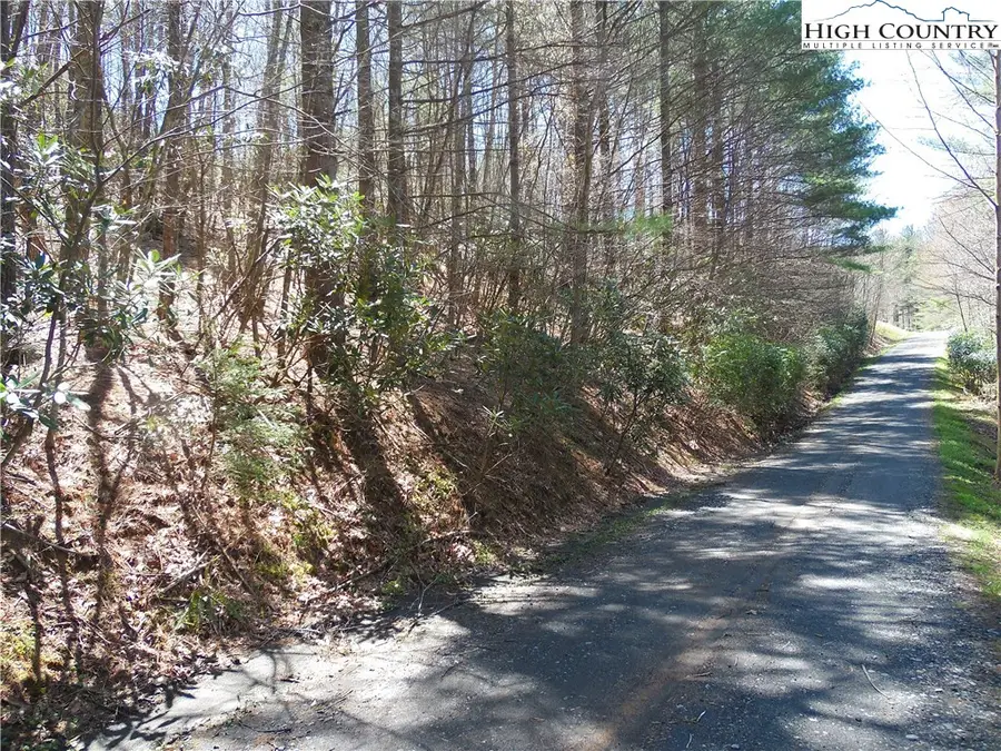 L62 James Street, Fleetwood, NC 28626 - Image #2