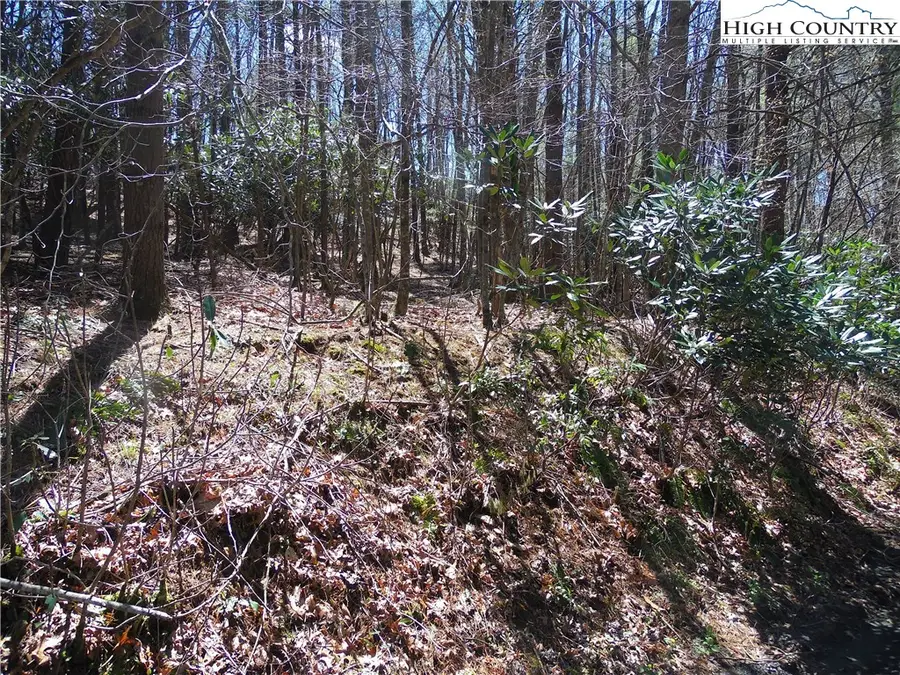 L62 James Street, Fleetwood, NC 28626 - Image #3