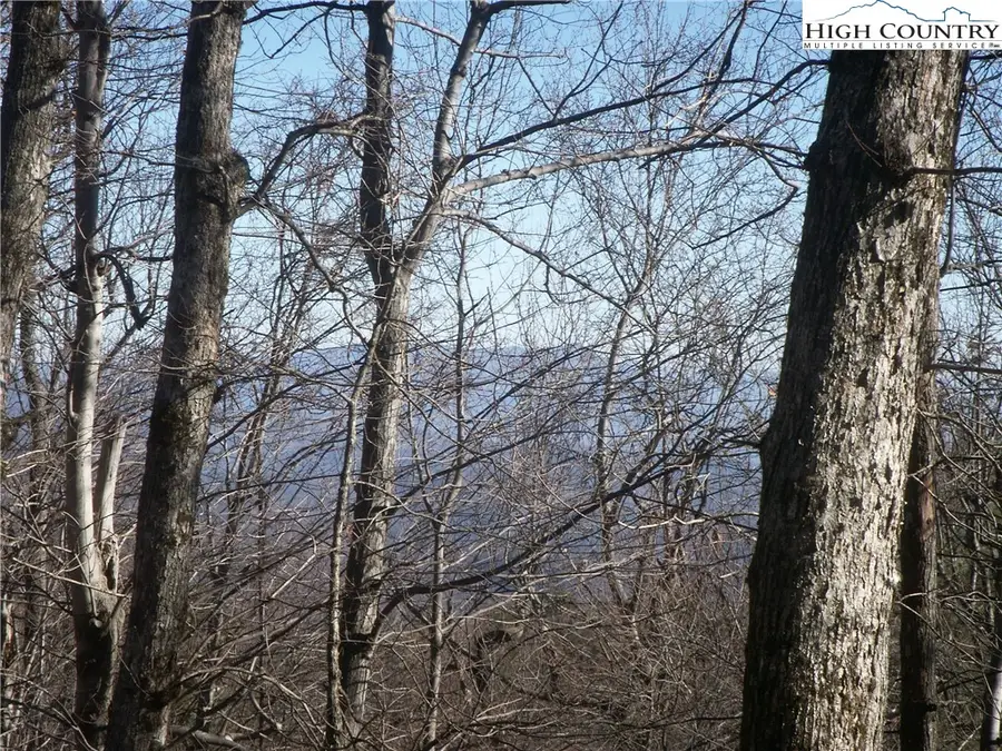 TBD Lot 176 Troon Avenue, Roaring Gap, NC 28668 - Image #2