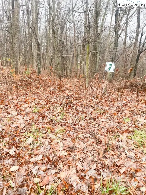 Lot #7 Tom's Knob, Sparta, NC 28675 - Image #2