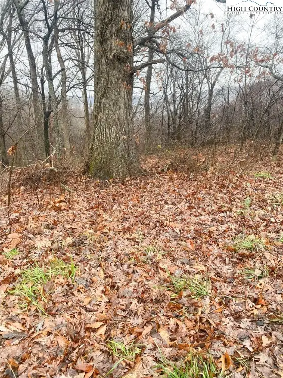 Lot #7 Tom's Knob, Sparta, NC 28675 - Image #3