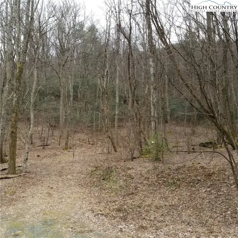 Tract 15 Old Stillhouse Road, Blowing Rock, NC 28605 - Image #3