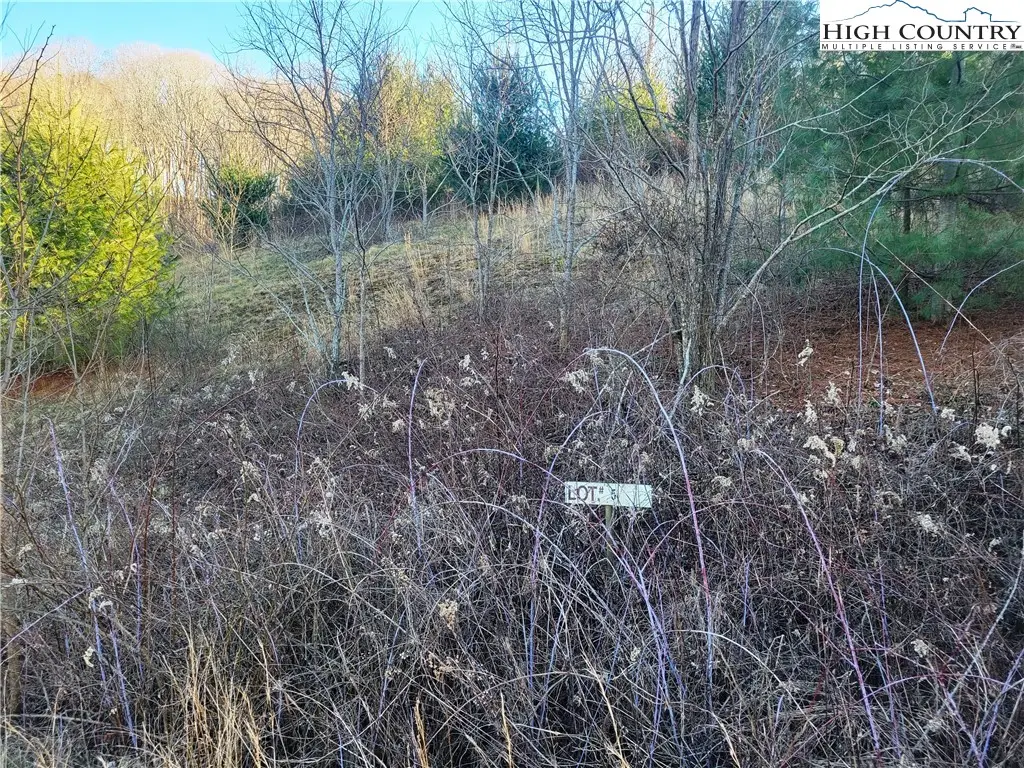 Lot 5 Terra Vista Drive, Laurel Springs, NC 28644 - Image #1