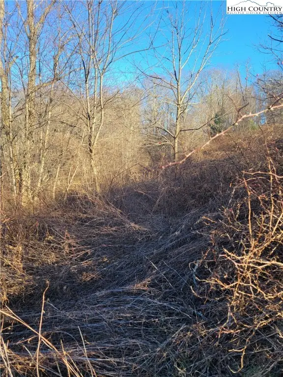 Lot 7 Terra Vista Drive, Laurel Springs, NC 28644