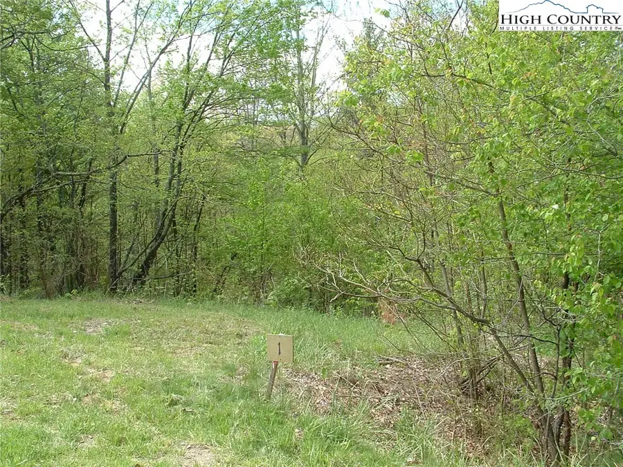 Lot 2 Sec II Talon Drive, Boone, NC 28607 - Image #2