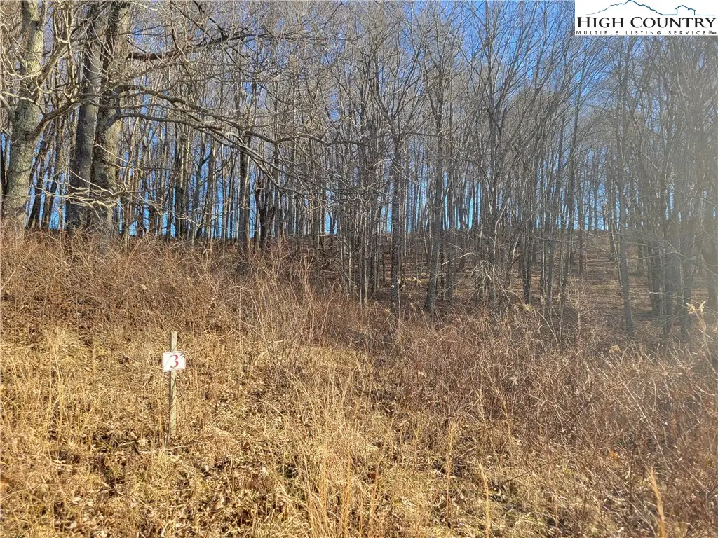 Lot 3 Terra Vista Drive, Laurel Springs, NC 28644 - Image #1