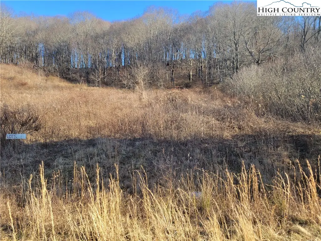 Lot 4 Terra Vista Drive, Laurel Springs, NC 28644 - Image #1