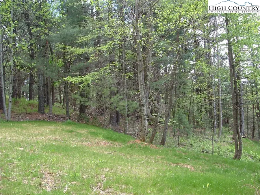 Lot 9 Talon Drive, Boone, NC 28607 - Image #2