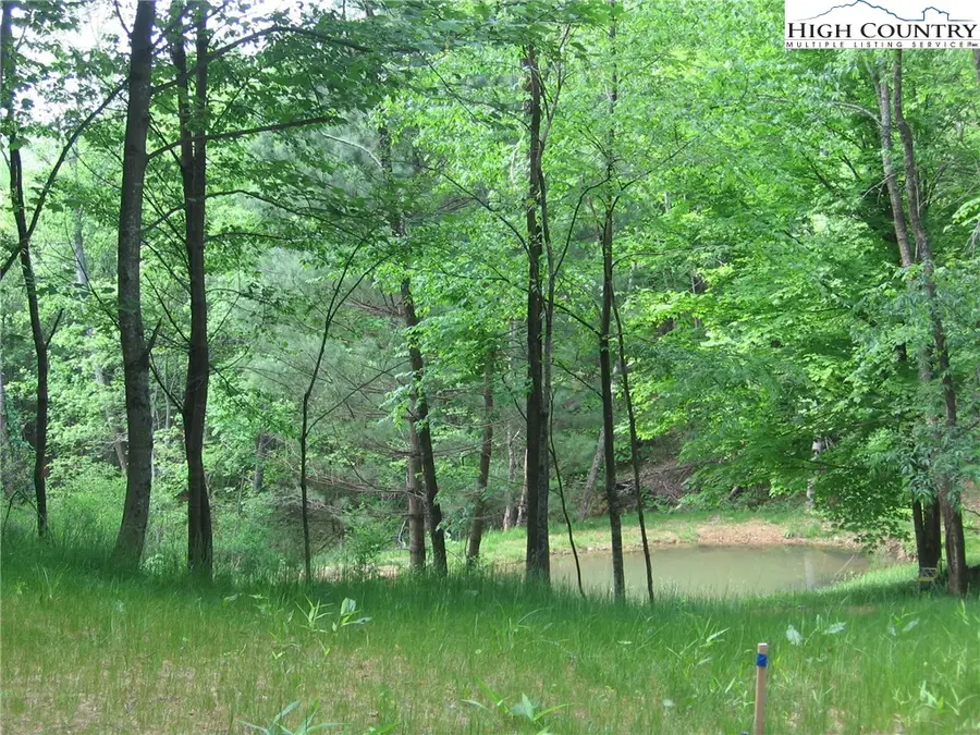 Lot 12 Talon Drive, Boone, NC 28607 - Image #2