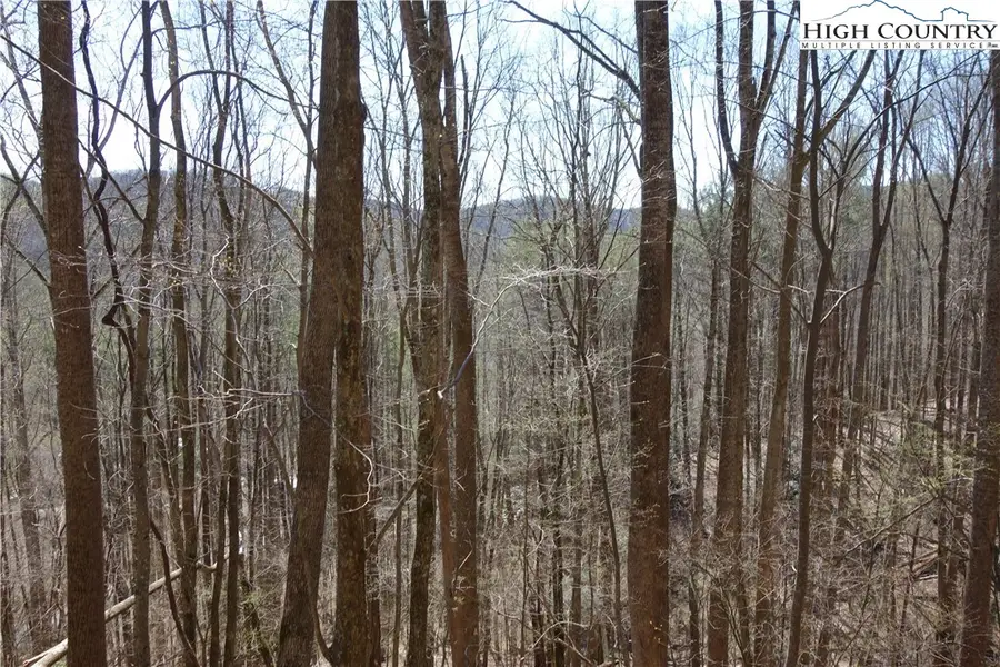 Lot 6B Twin Rivers Drive, Boone, NC 28607 - Image #2