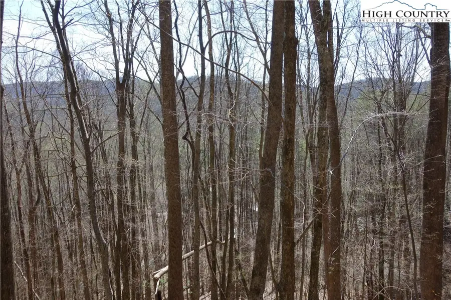 Lot 6B Twin Rivers Drive, Boone, NC 28607 - Image #3