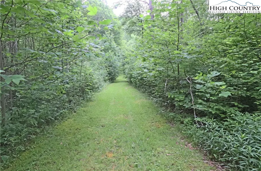 TBD Rhodo #69 Lane, Boone, NC 28607 - Image #2