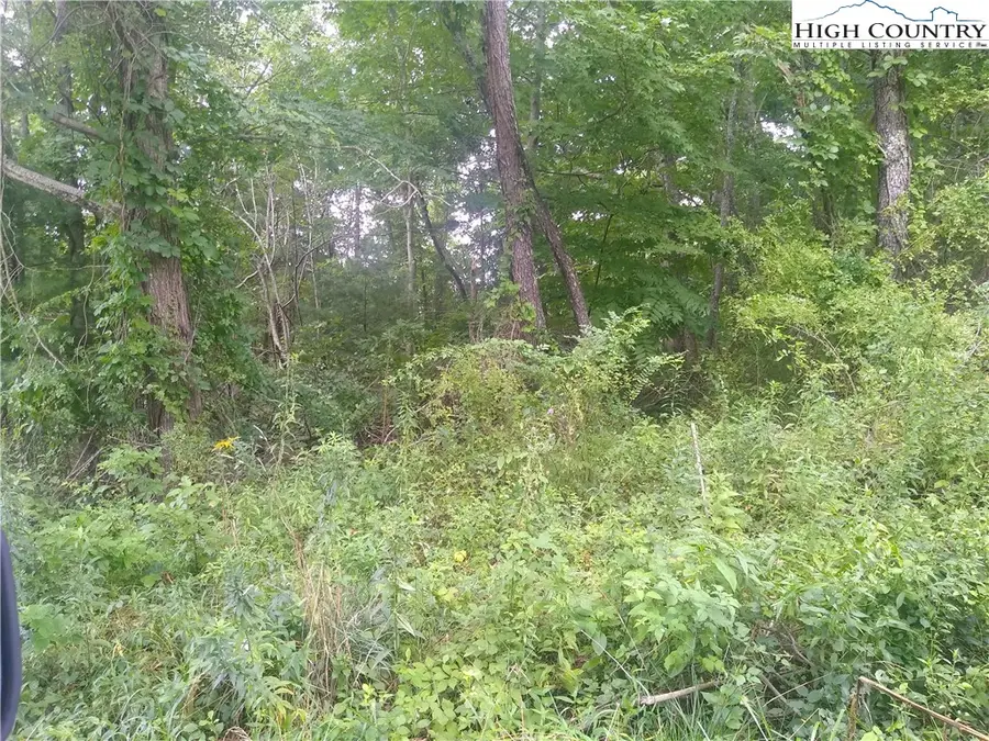 South Ballpark Road, Sparta, NC 28675 - Image #2