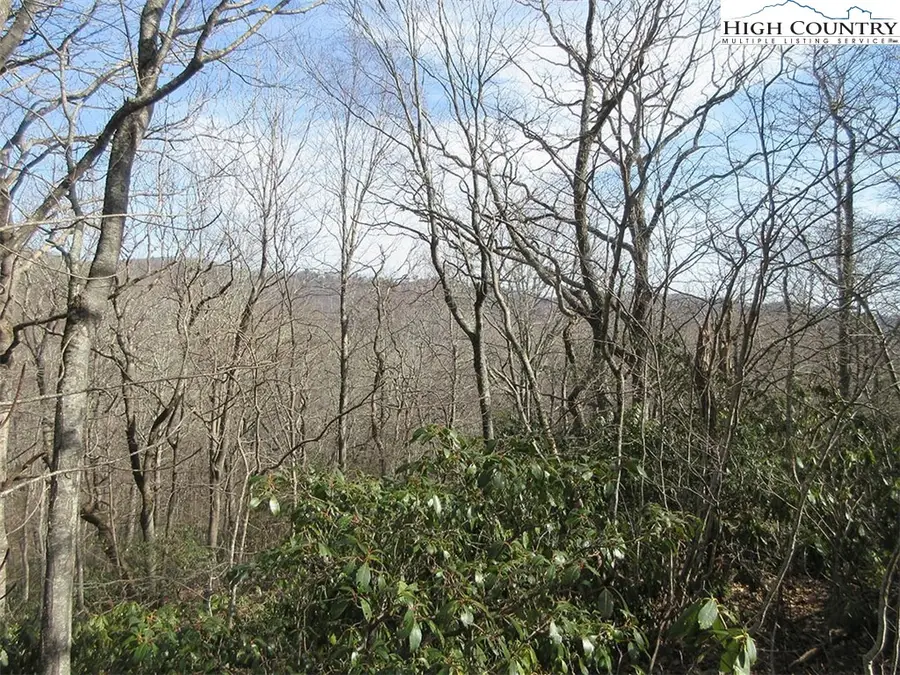 Lot 11 Saul's Camp Road, Blowing Rock, NC 28605 - Image #3