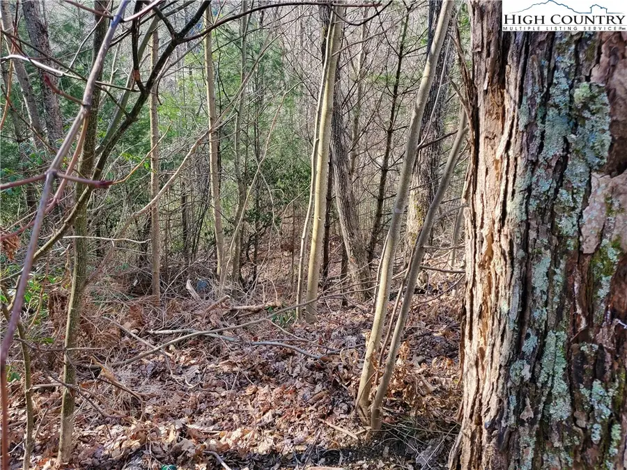 128 Bryce Way, Boone, NC 28607 - Image #3