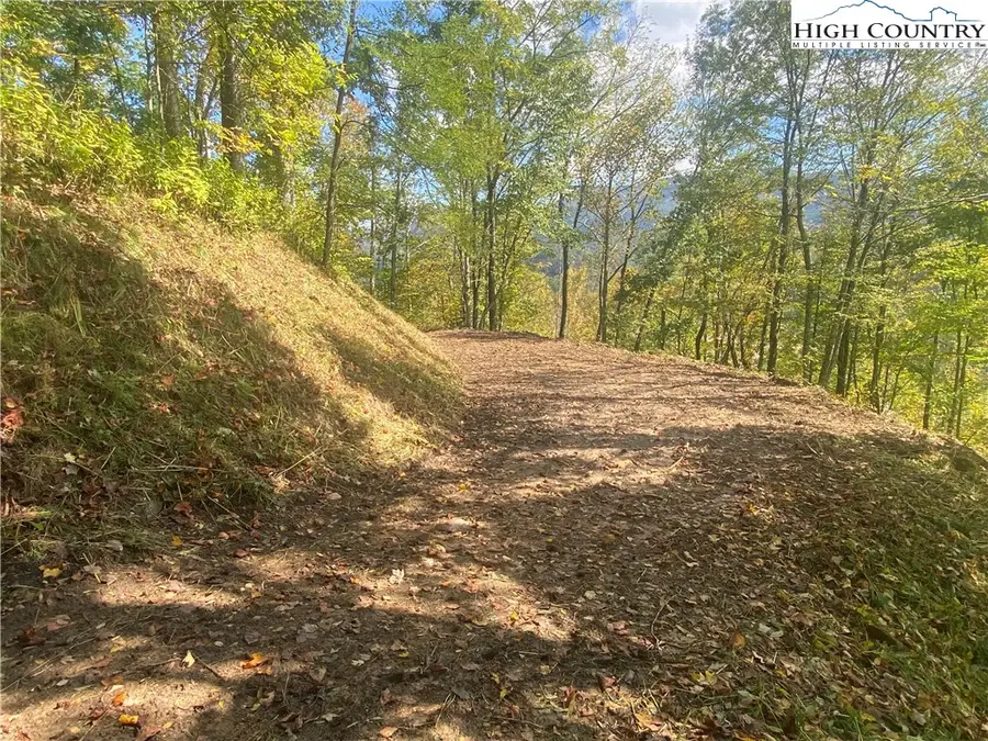 Lot 16 Twin Hollows, Vilas, NC 28692 - Image #2