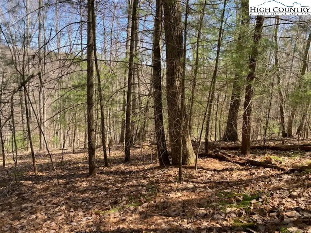 TBD Forest Hill Drive, Sparta, NC 28675 - Image #1