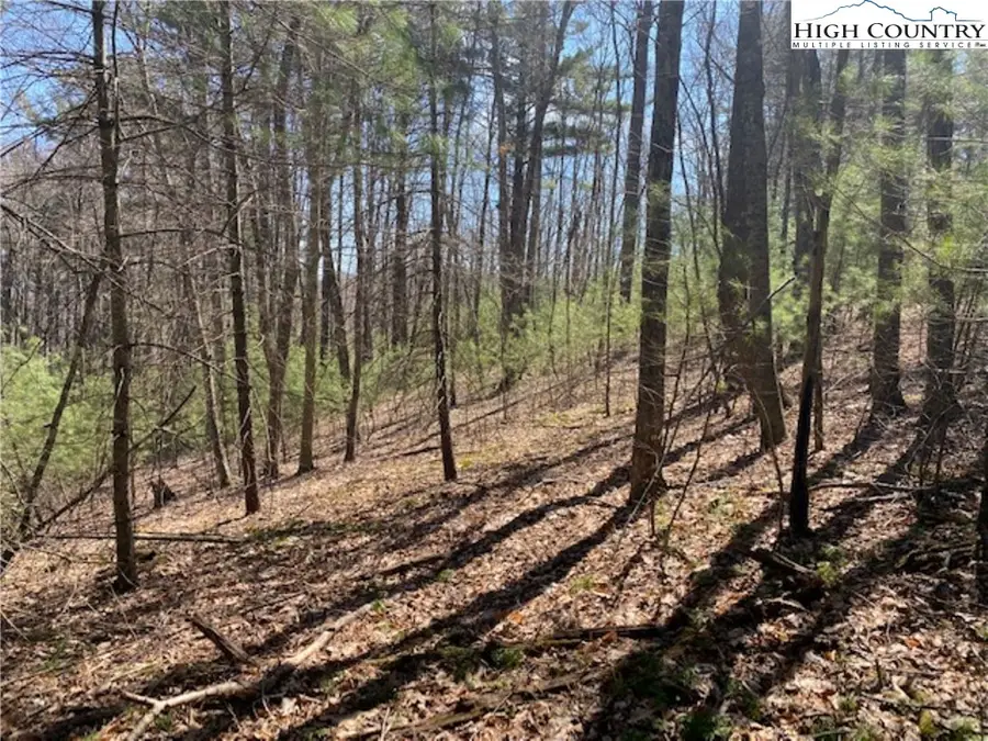 TBD Forest Hill Drive, Sparta, NC 28675 - Image #2