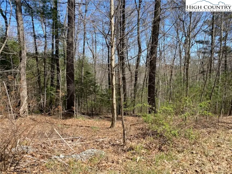 TBD Forest Hill Drive, Sparta, NC 28675 - Image #3