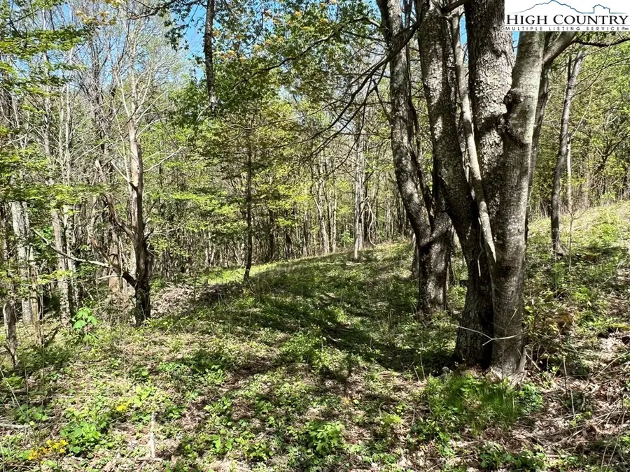 Lots C24 & C33 Buffalo Nvno, Zionville, NC 28698 - Image #2