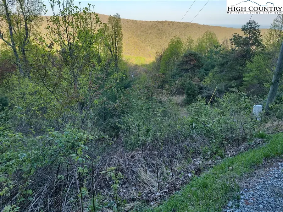 Lot 10 Park Vista Lane, Sparta, NC 28675 - Image #3