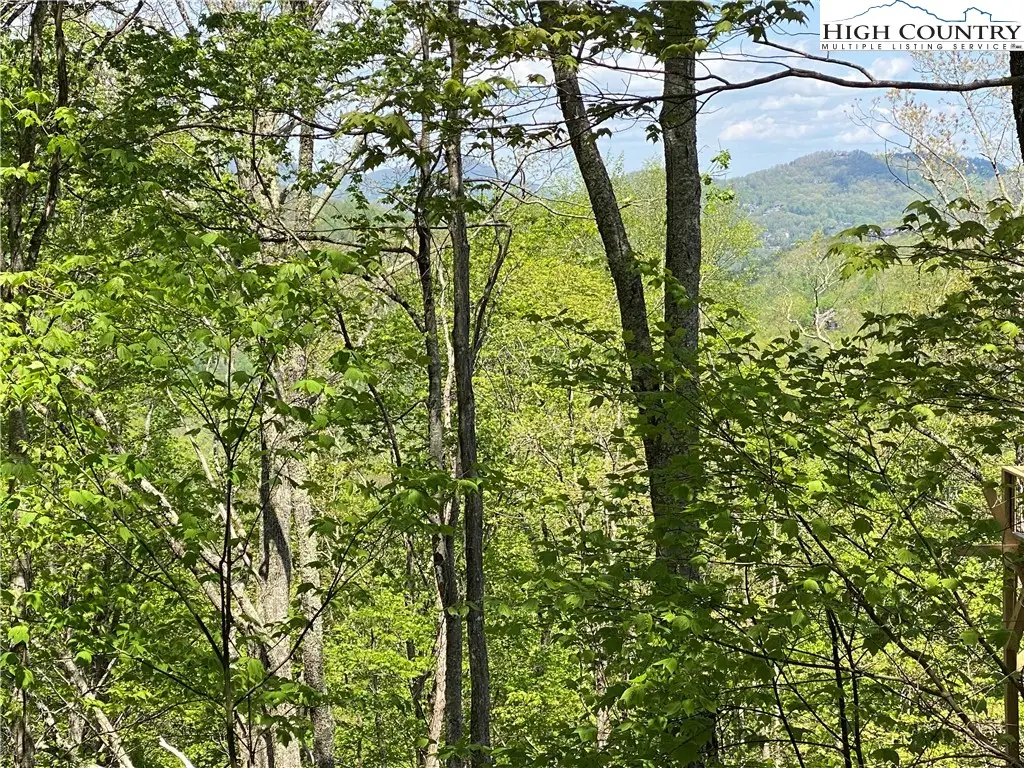 Lot 29 Grandfather Watch Lane, Banner Elk, NC 28604 - Image #1