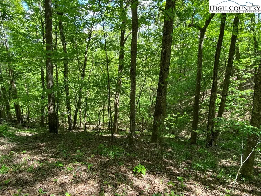 Lot 29 Grandfather Watch Lane, Banner Elk, NC 28604 - Image #2