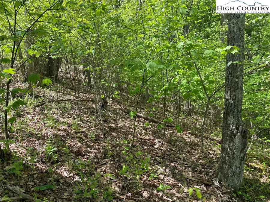 Lot 29 Grandfather Watch Lane, Banner Elk, NC 28604 - Image #3