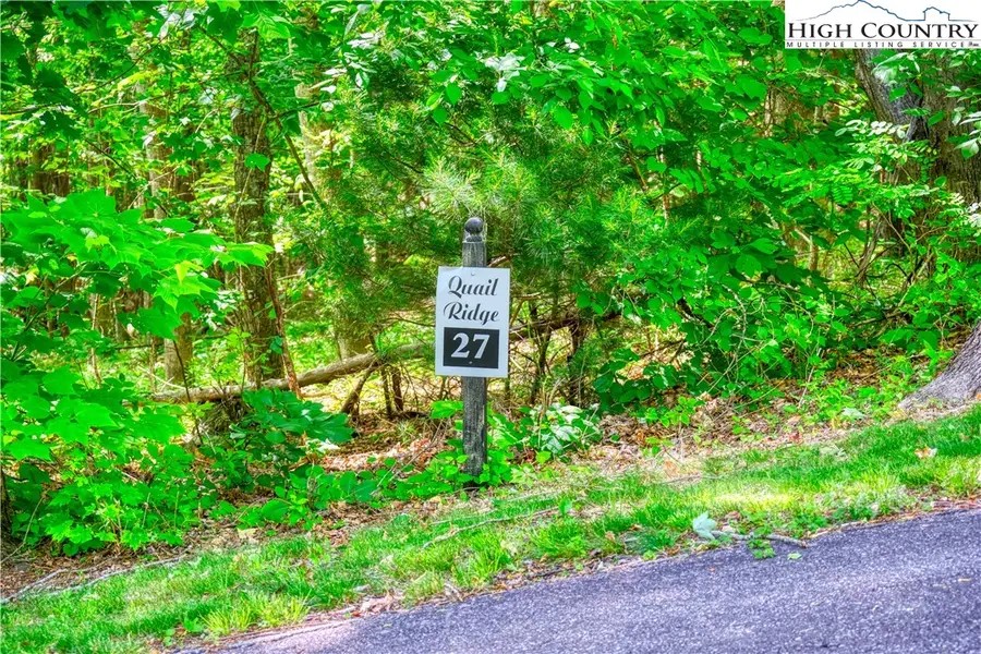 Lot 27 Quail Ridge Drive, Fleetwood, NC 28626 - Image #3