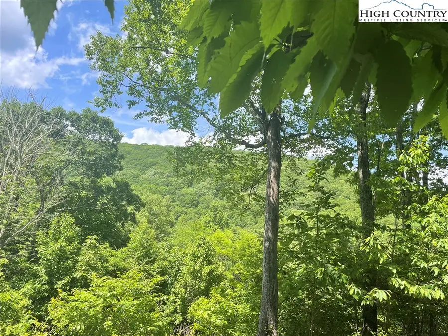 Lot 66 Bob Timberlake Drive, Boone, NC 28607 - Image #3