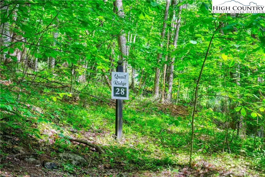 Lot 14 Quail Ridge Drive, Fleetwood, NC 28626 - Image #3