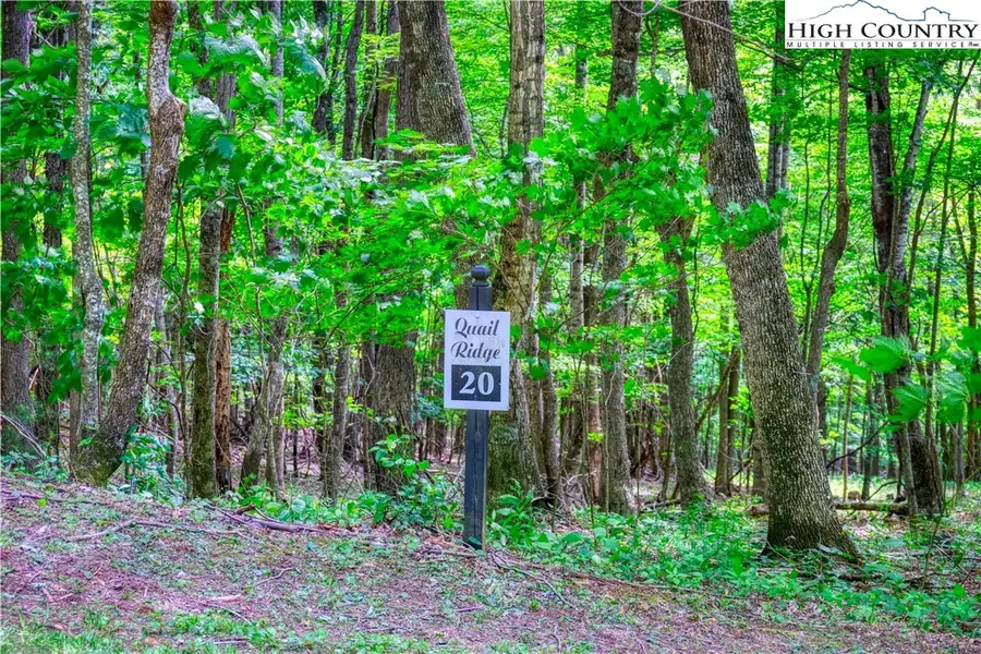 Lot 14 Quail Ridge Drive, Fleetwood, NC 28626 - #2