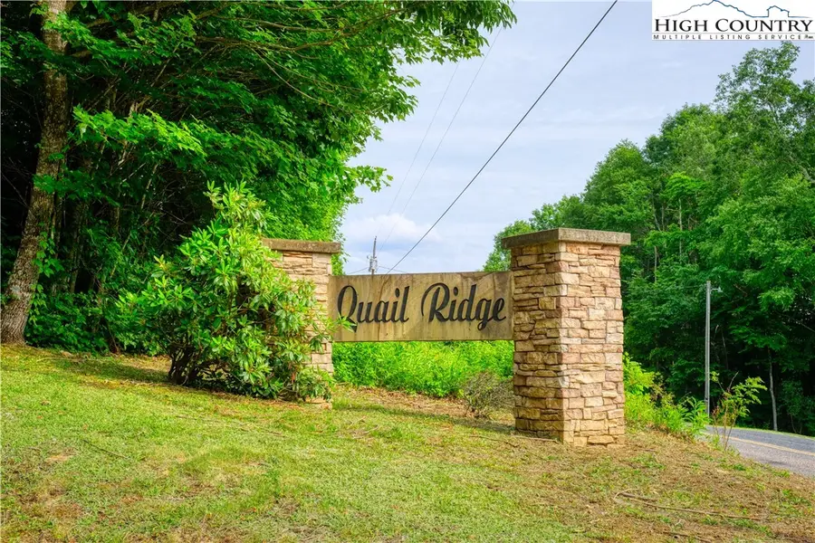 Lot 14 Quail Ridge Drive, Fleetwood, NC 28626 - #3