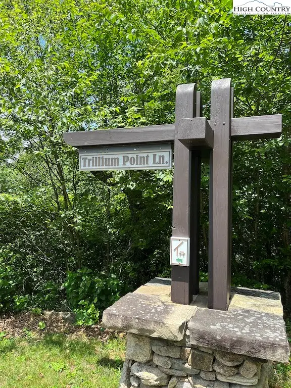 TBD Trillium Point Lane, West Jefferson, NC 28694 - Image #3