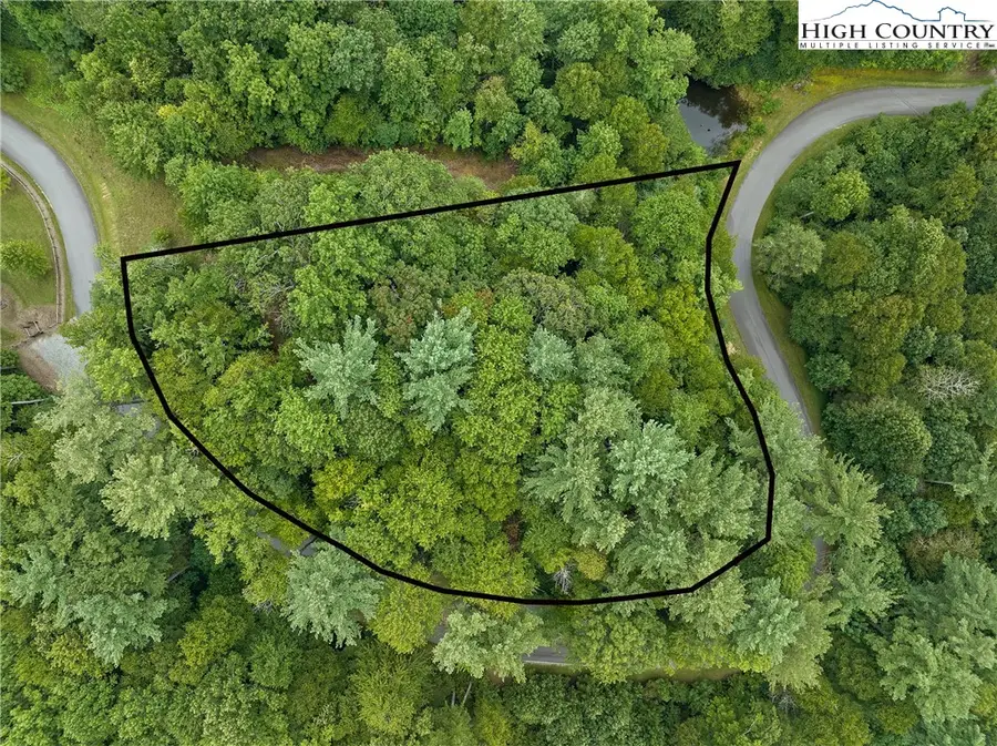 Lot L3 Woodlake Loop Road, Elk Park, NC 28622 - Image #3