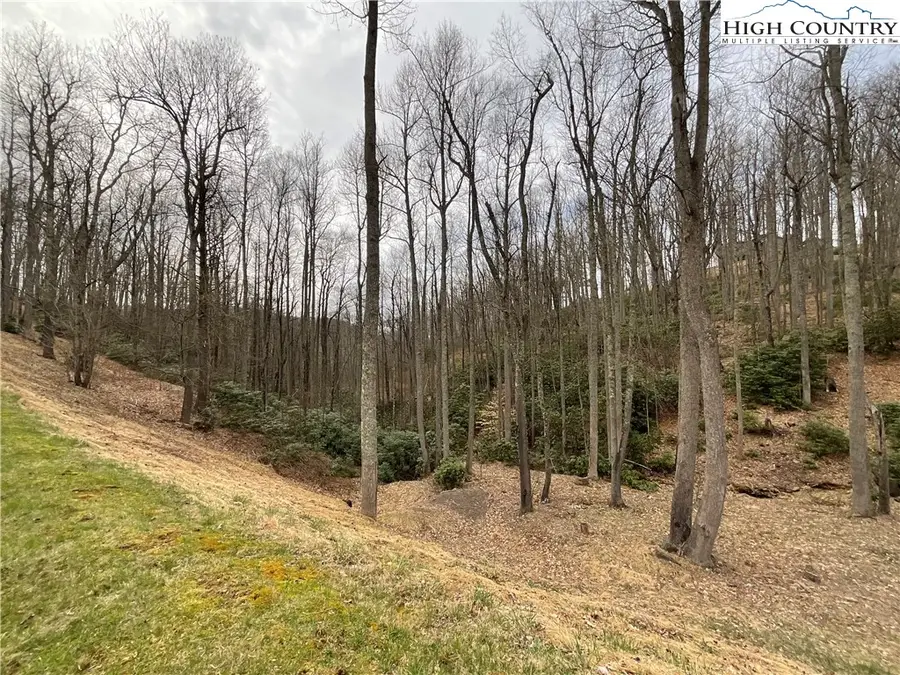 #32 South Creek Drive, Boone, NC 28607 - Image #2