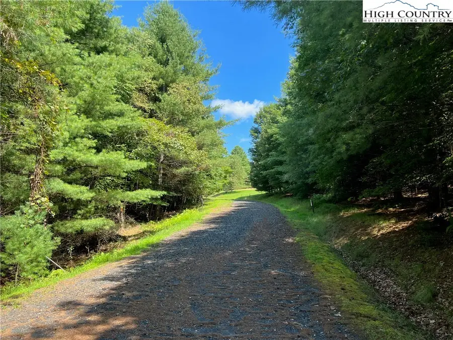 TBD (Lot 29 & 30) Timberwilde Court, Laurel Springs, NC 28644 - Image #2