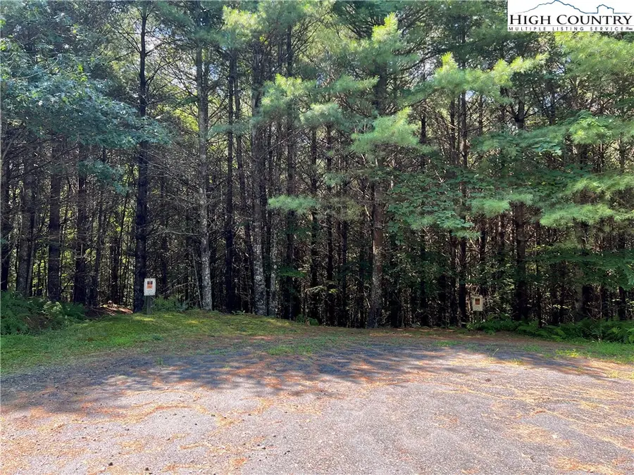TBD (Lot 29 & 30) Timberwilde Court, Laurel Springs, NC 28644 - Image #3