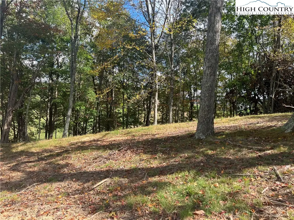 TBD Busic Ridge #6, Sparta, NC 28675 - Image #1