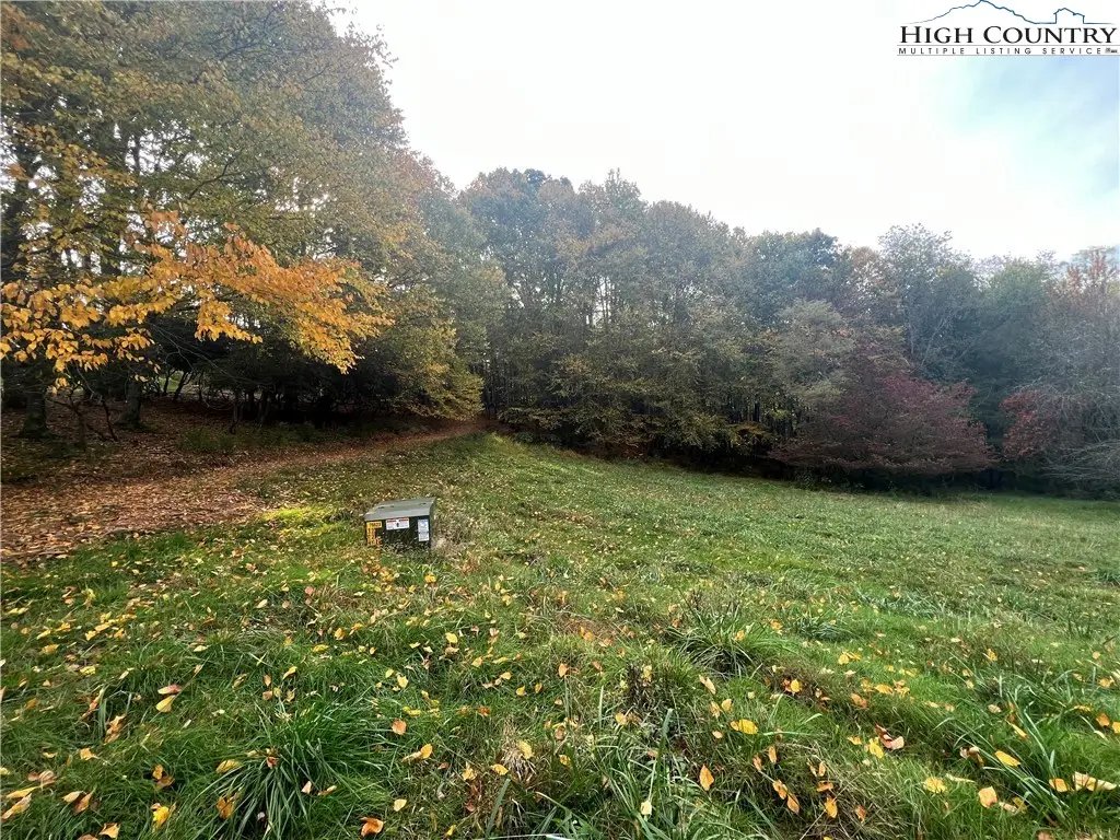 TBD Busic Ridge #4, Sparta, NC 28675 - Image #1