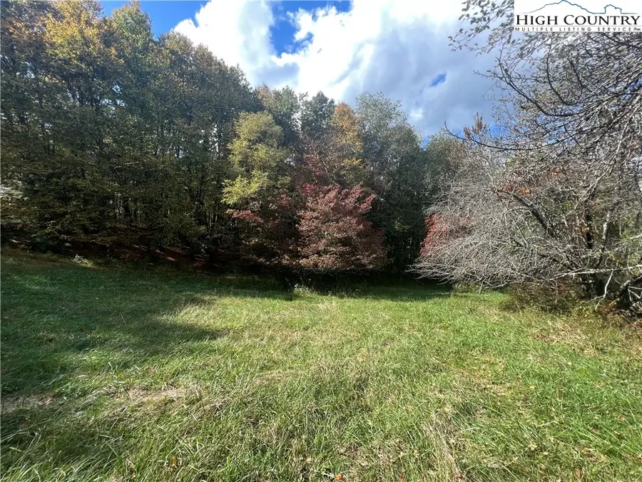 TBD Busic Ridge #4, Sparta, NC 28675 - Image #3
