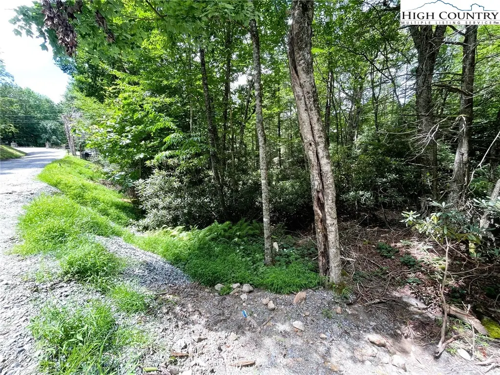 252 Greenbriar Road, Beech Mountain, NC 28604 - Image #1